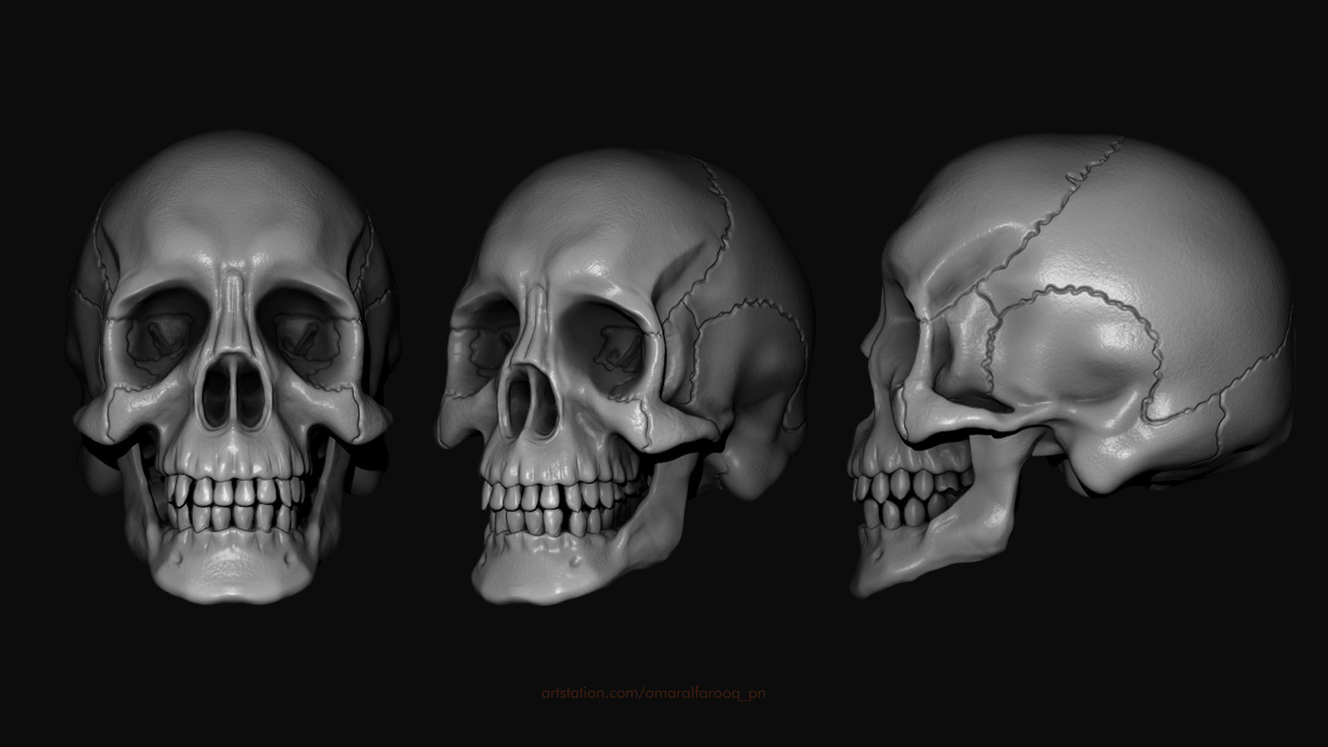 Human Skull Model 3D model_3
