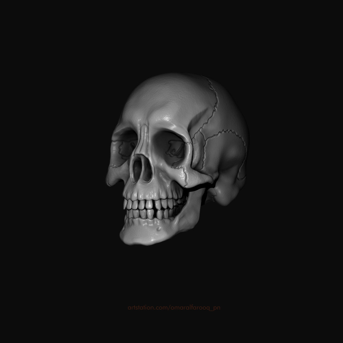 Human Skull Model 3D model_2