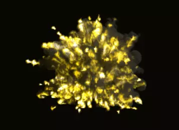 Big Explosion Green Screen Free 3D model