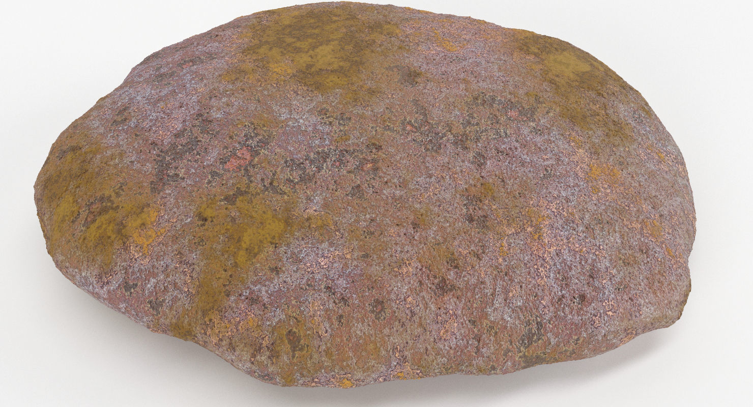 Brain Coral and Sea Stone - PBR Set 3D model_21