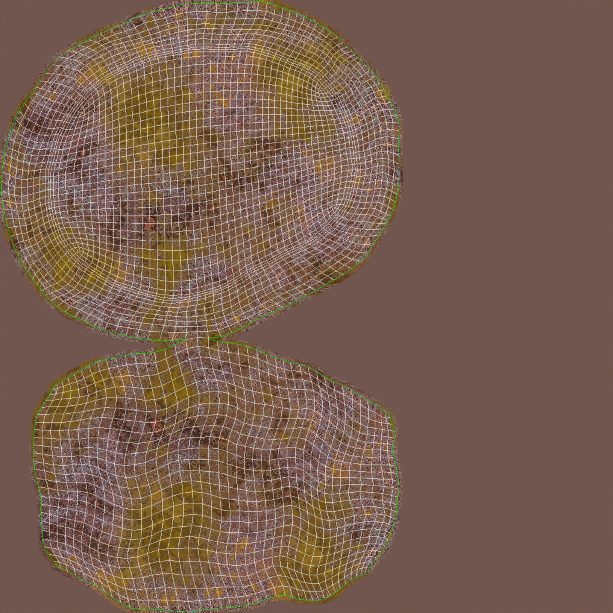 Brain Coral and Sea Stone - PBR Set 3D model_22