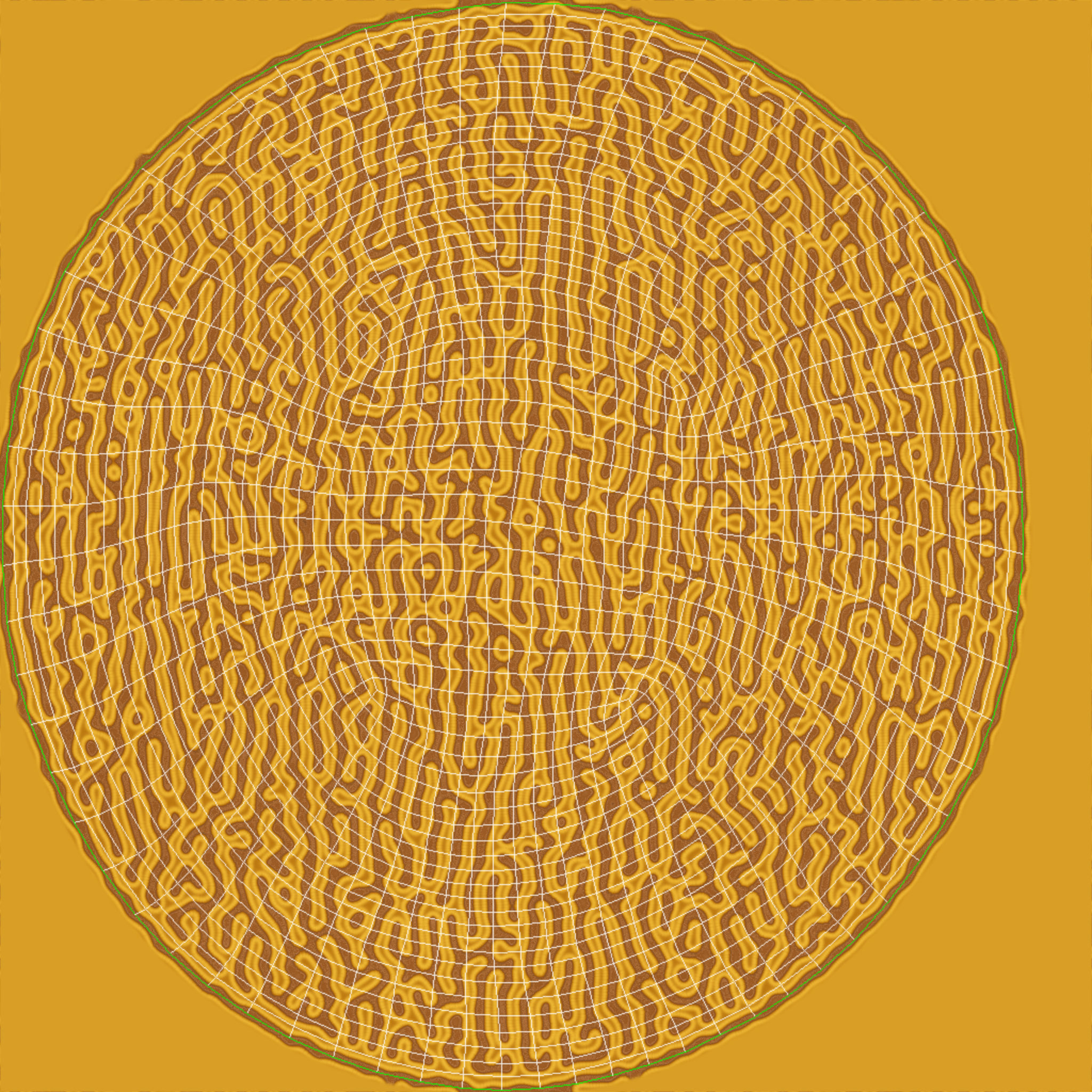 Brain Coral and Sea Stone - PBR Set 3D model_17