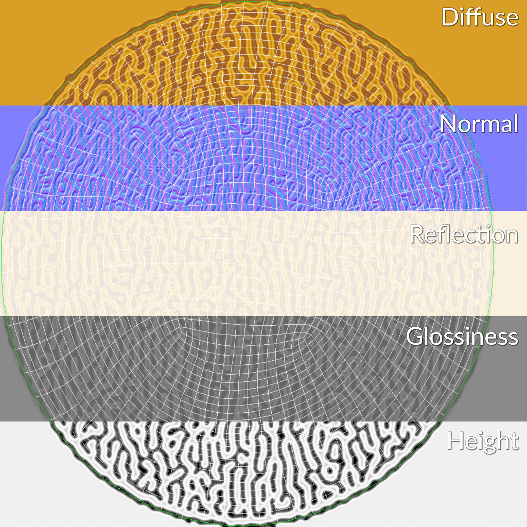 Brain Coral and Sea Stone - PBR Set 3D model_18