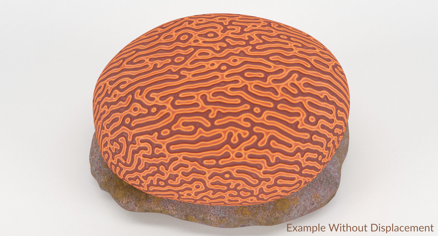 Brain Coral and Sea Stone - PBR Set 3D model_28