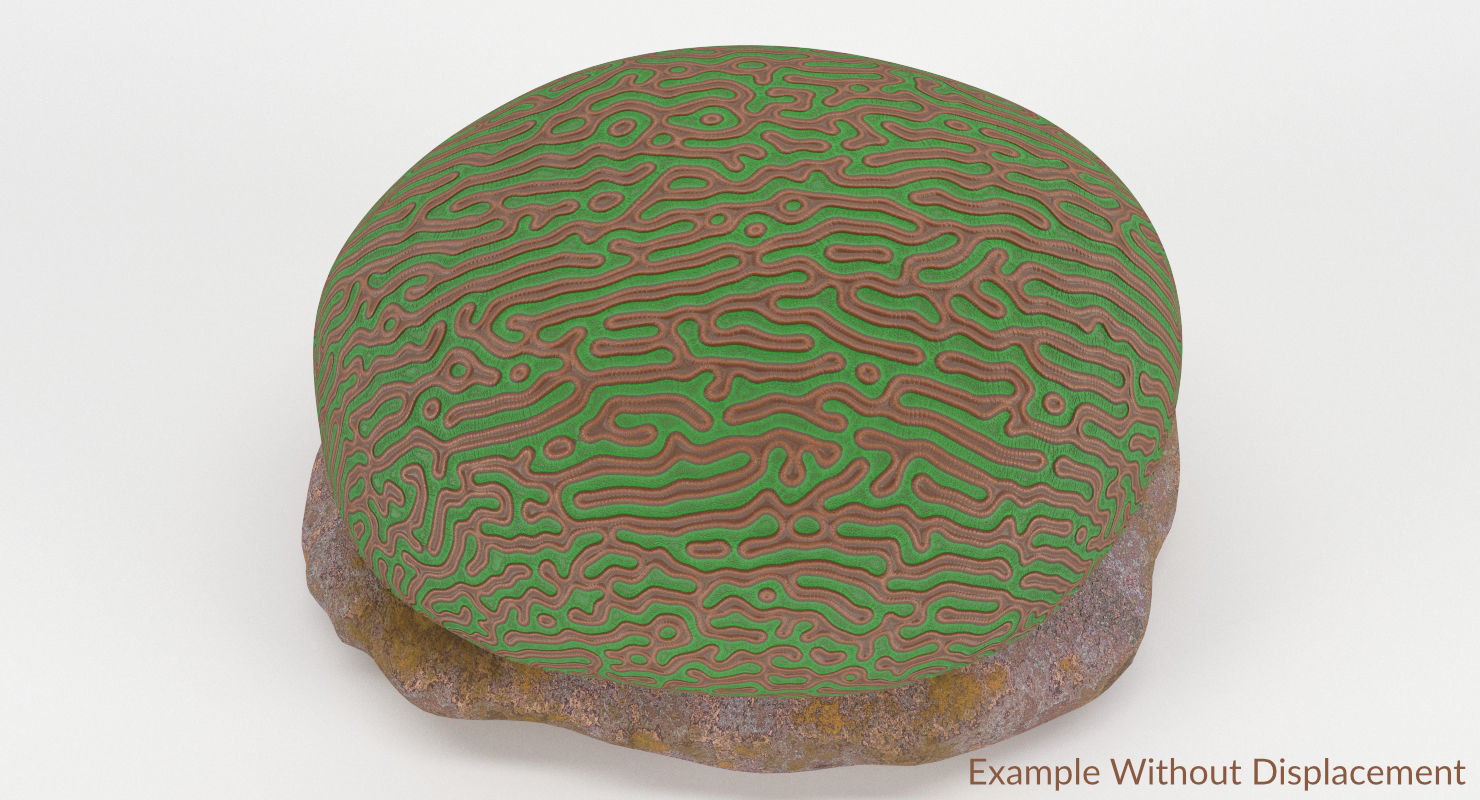 Brain Coral and Sea Stone - PBR Set 3D model_32