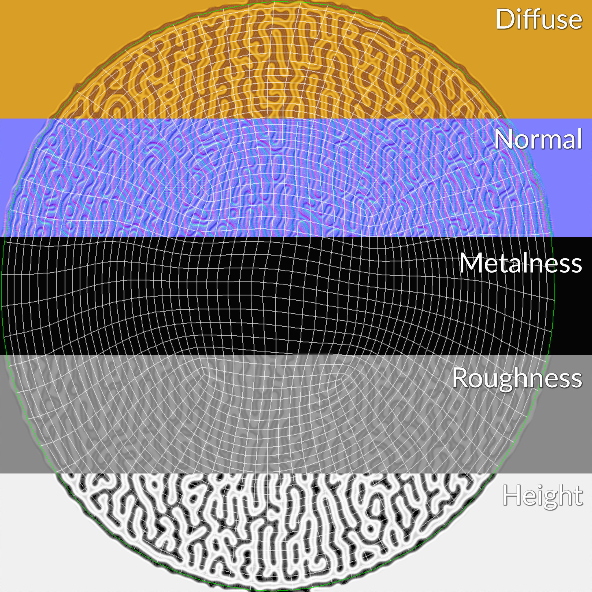 Brain Coral and Sea Stone - PBR Set 3D model_19