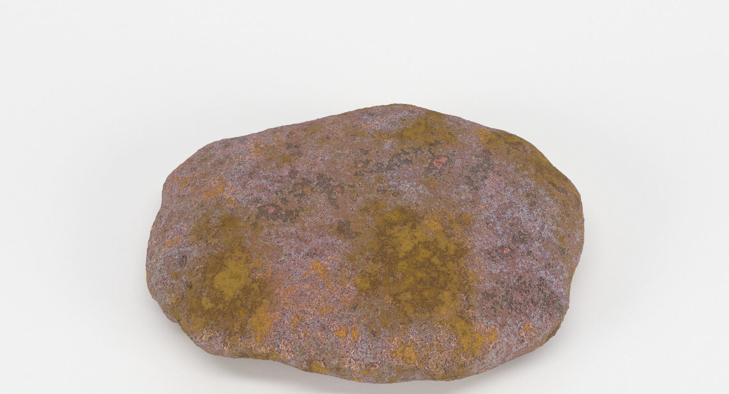 Brain Coral and Sea Stone - PBR Set 3D model_20