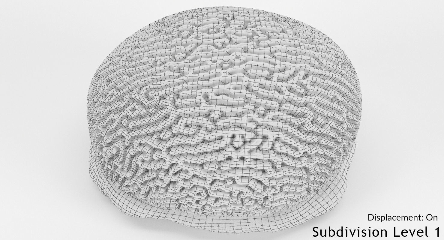 Brain Coral and Sea Stone - PBR Set 3D model_33
