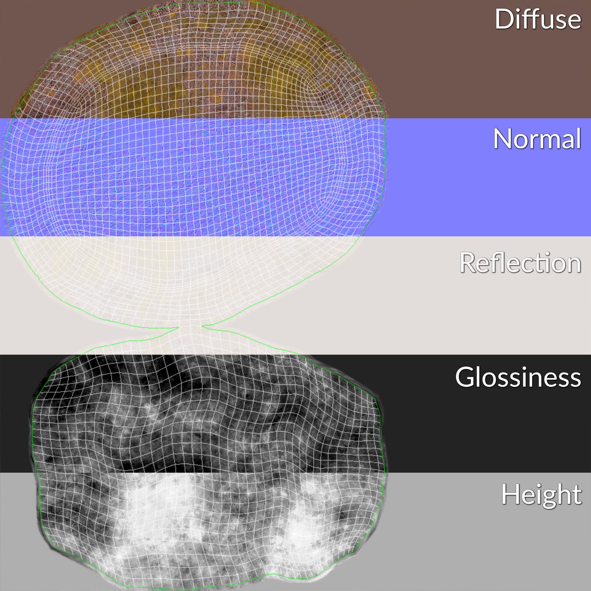 Brain Coral and Sea Stone - PBR Set 3D model_23