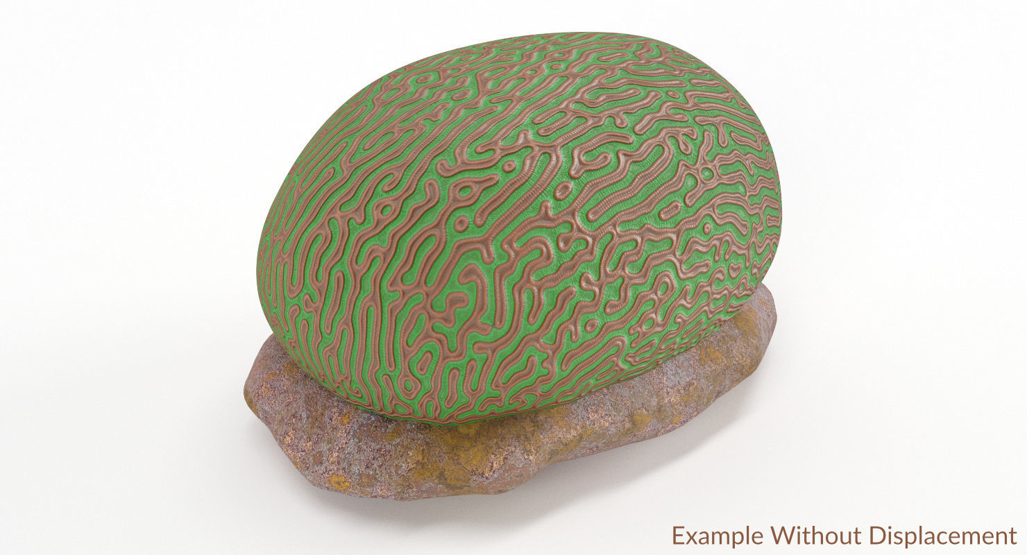 Brain Coral and Sea Stone - PBR Set 3D model_31