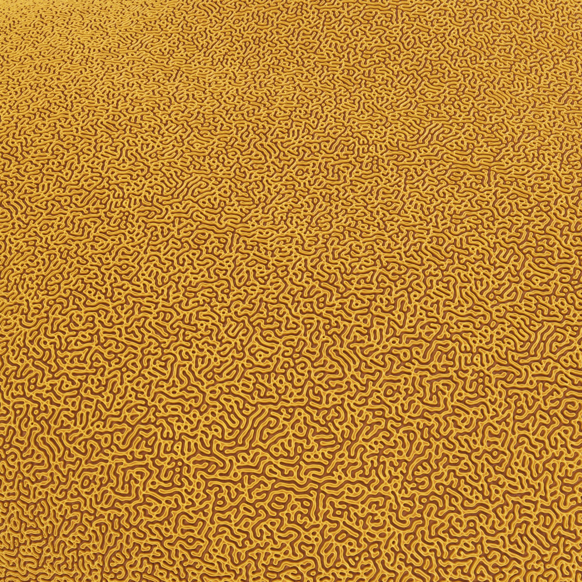 Seamless Brain Coral Texture Set 4k PBR Texture_5