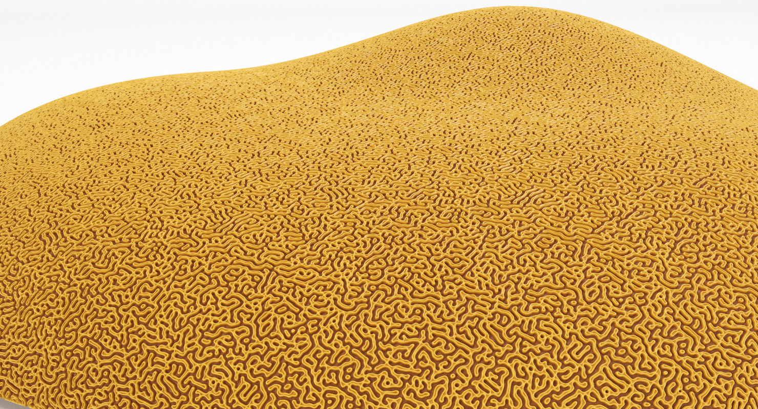 Seamless Brain Coral Texture Set 4k PBR Texture_3