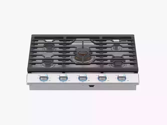 Samsung 30 Inch Gas Cooktop with 22K BTU True Dual Power Burner 3D model