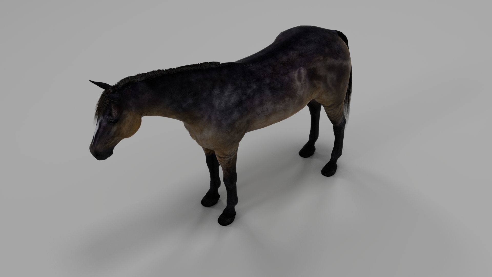 3ds max horse bundle 3D model_14