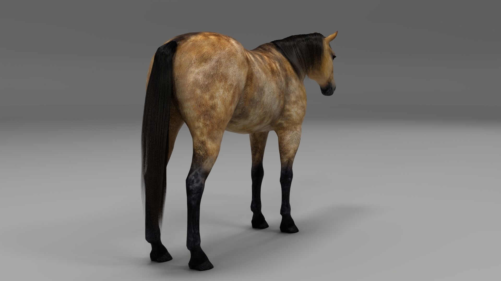 3ds max horse bundle 3D model_9