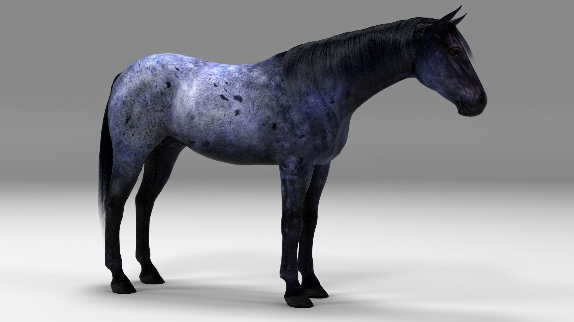 3ds max horse bundle 3D model_6