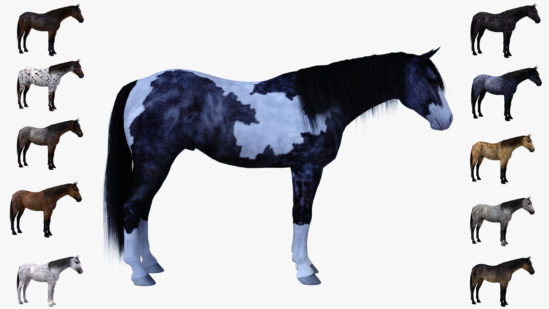 3ds max horse bundle 3D model_1