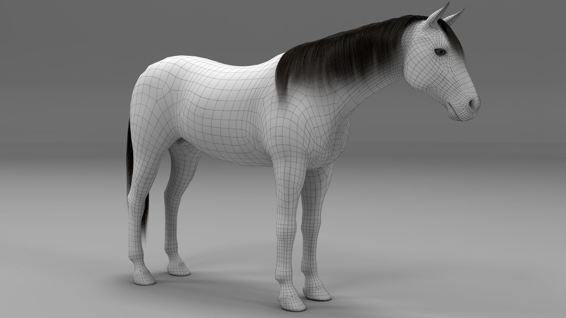 3ds max horse bundle 3D model_26
