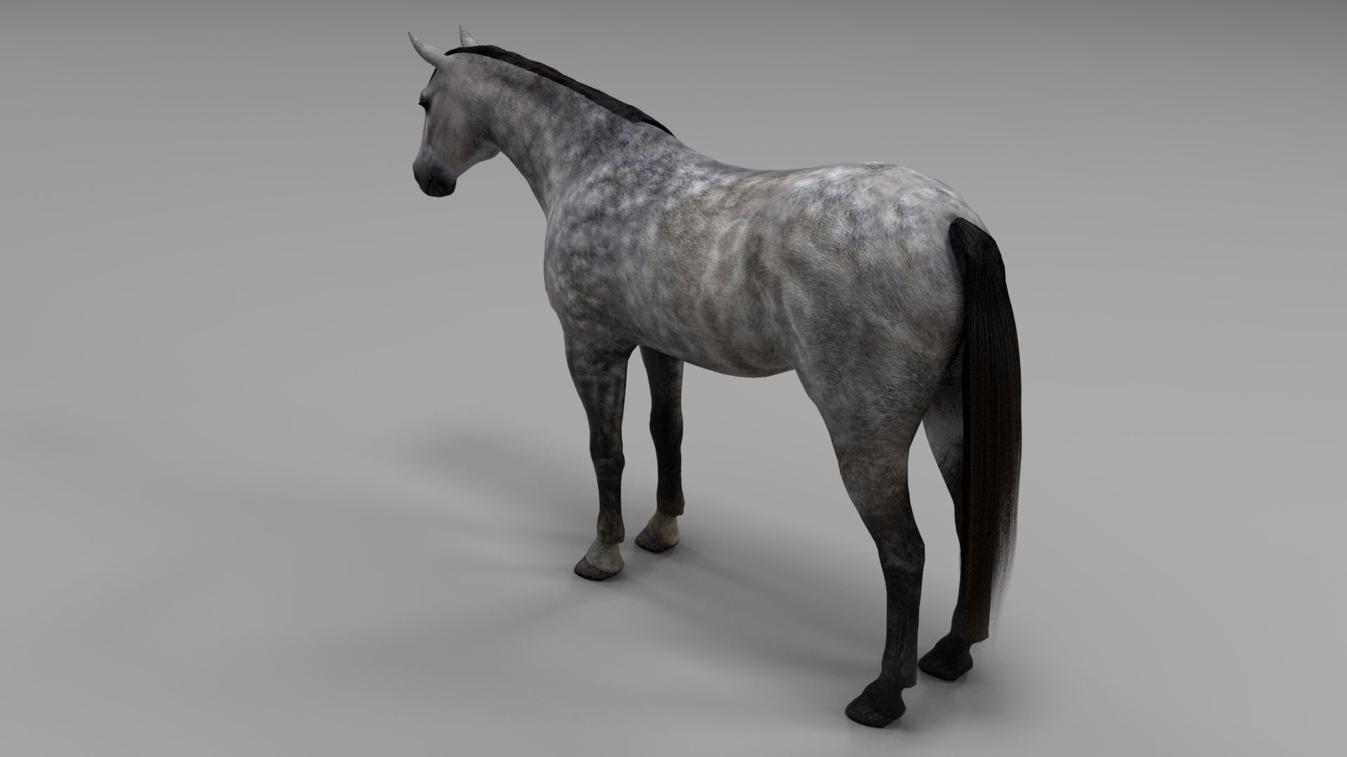 3ds max horse bundle 3D model_12