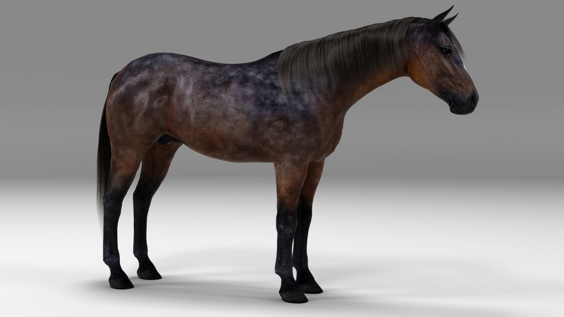 3ds max horse bundle 3D model_21