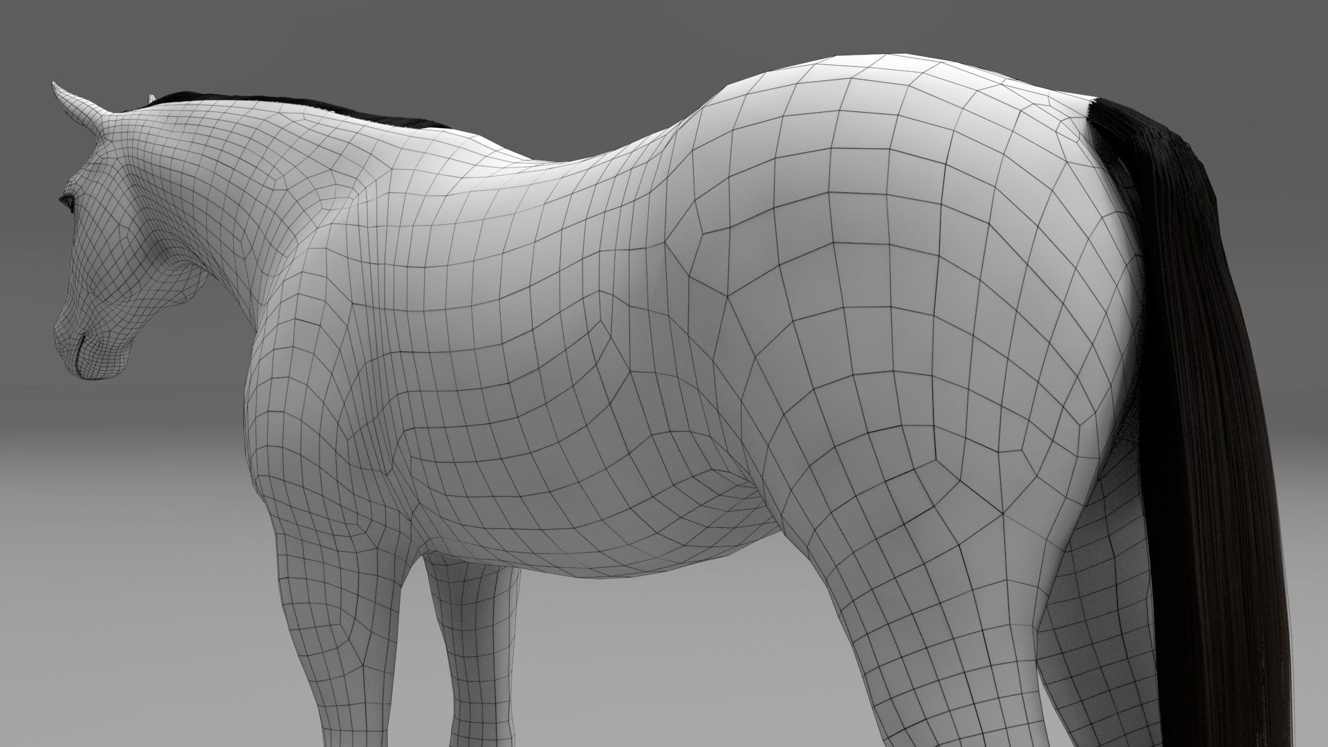3ds max horse bundle 3D model_28