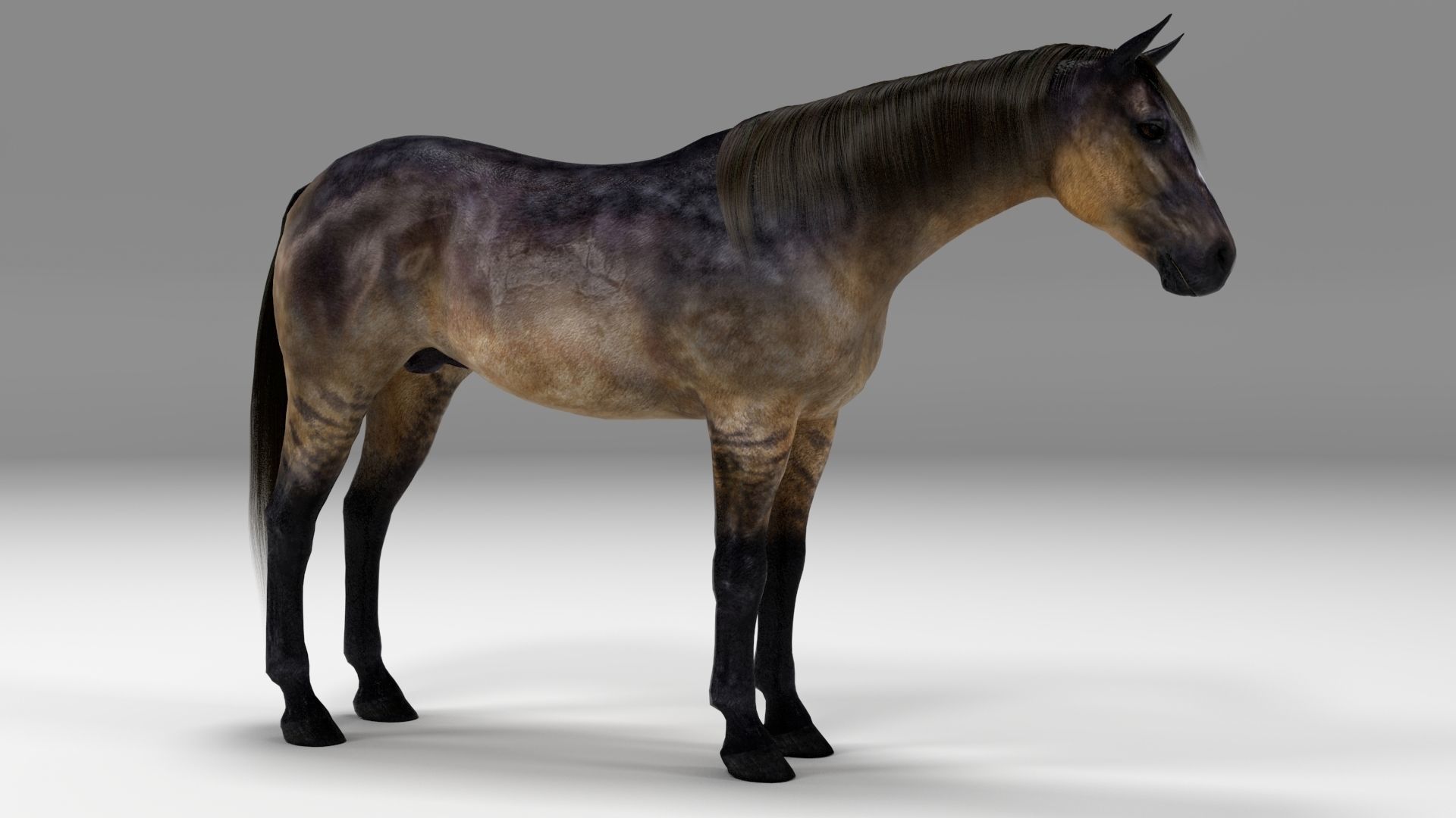 3ds max horse bundle 3D model_13