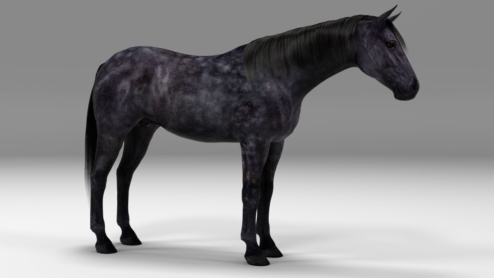 3ds max horse bundle 3D model_4