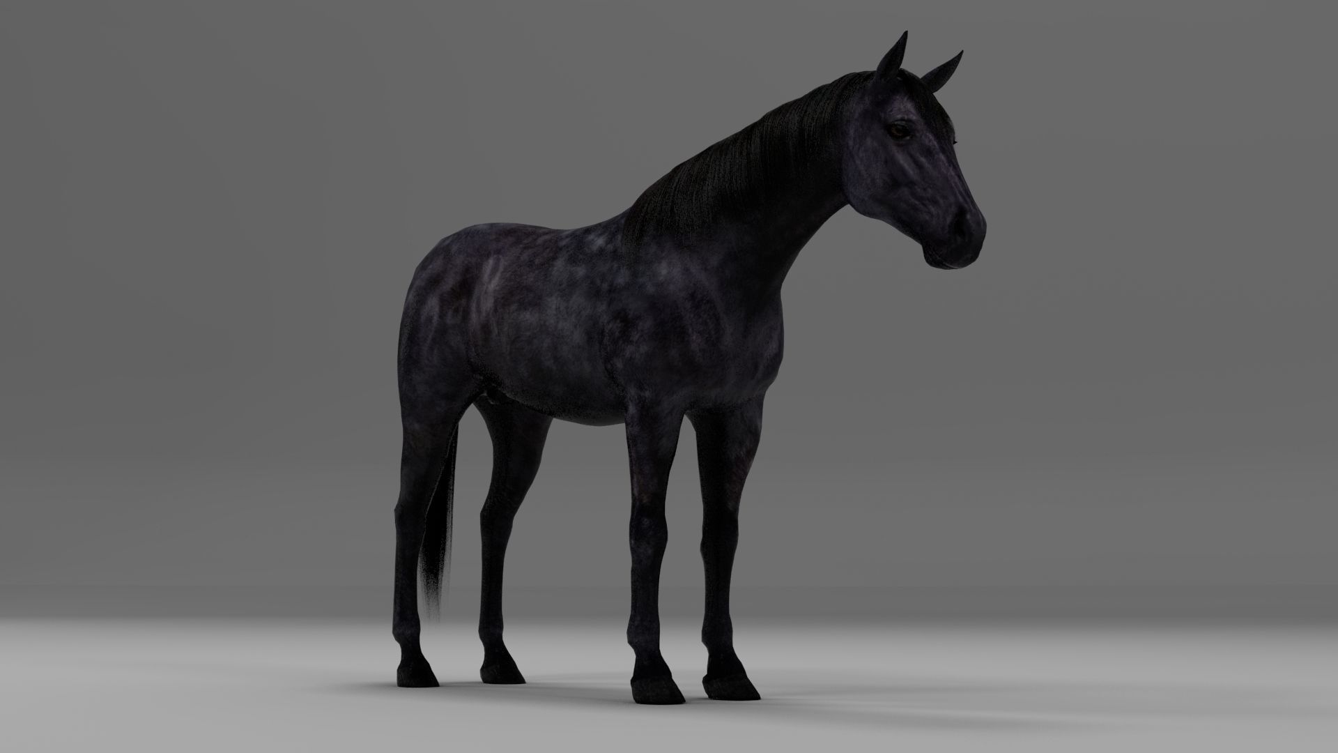 3ds max horse bundle 3D model_5