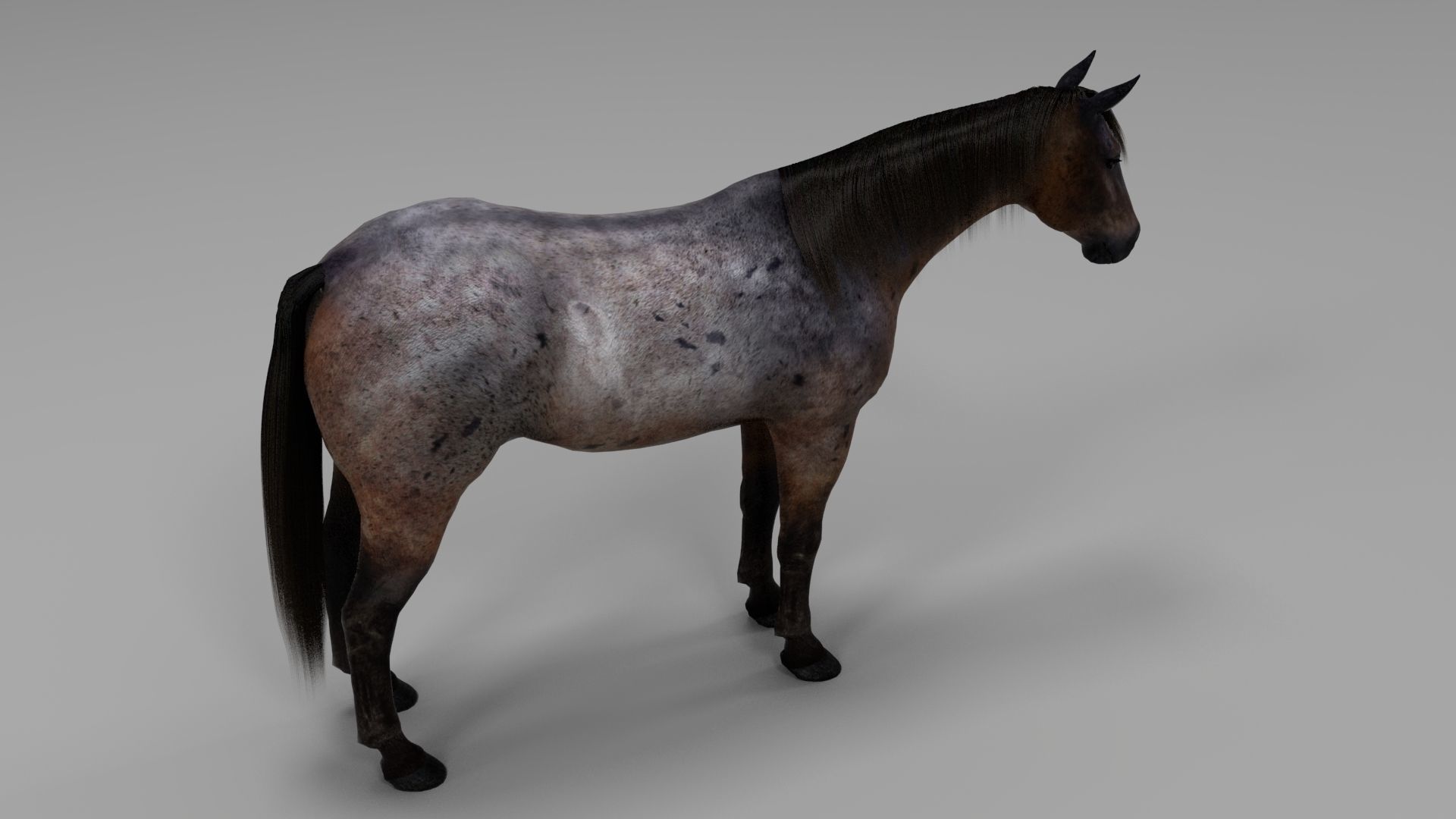 3ds max horse bundle 3D model_20
