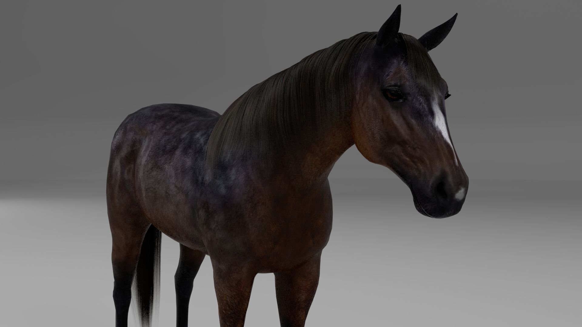 3ds max horse bundle 3D model_11