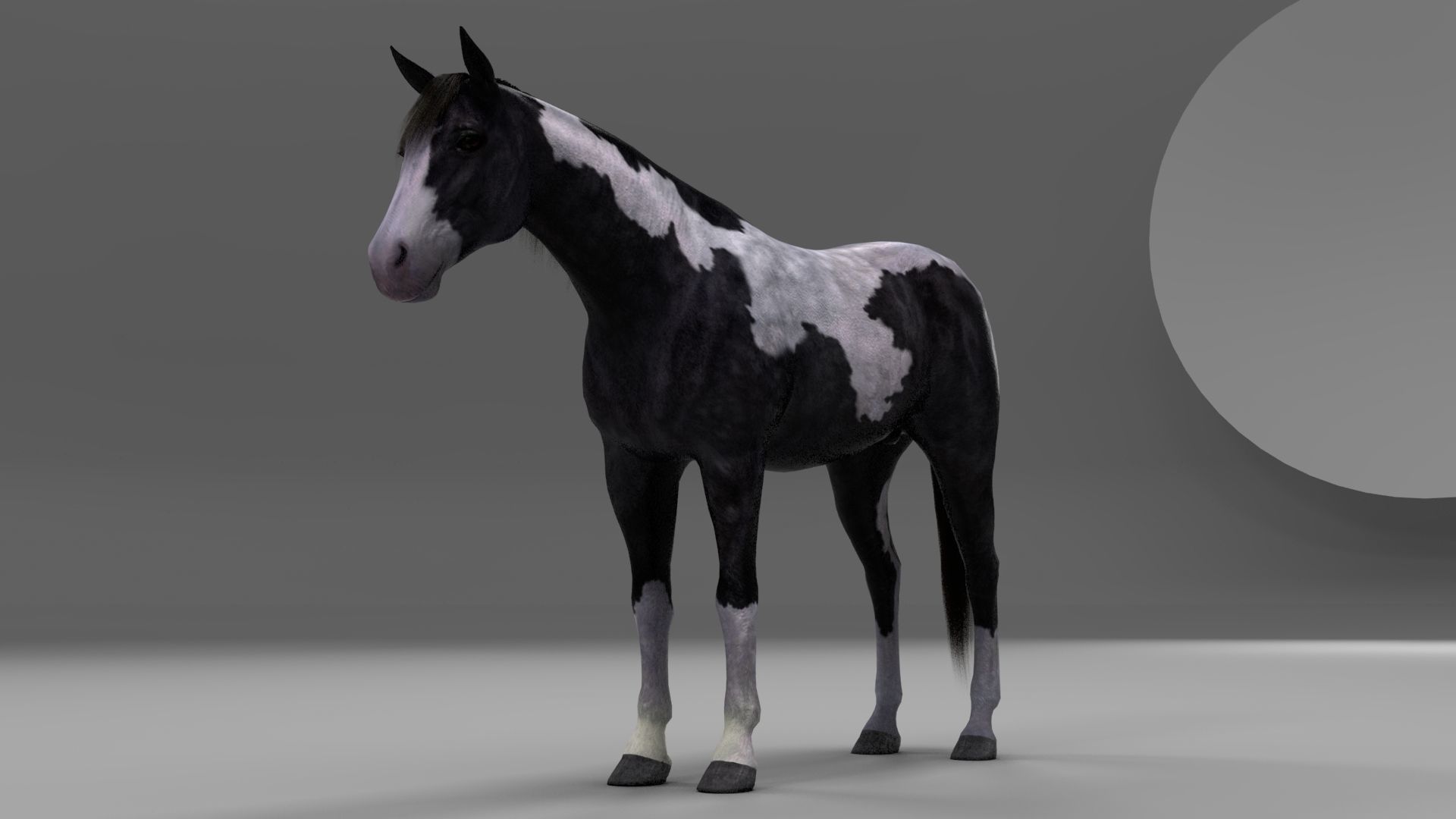 3ds max horse bundle 3D model_16