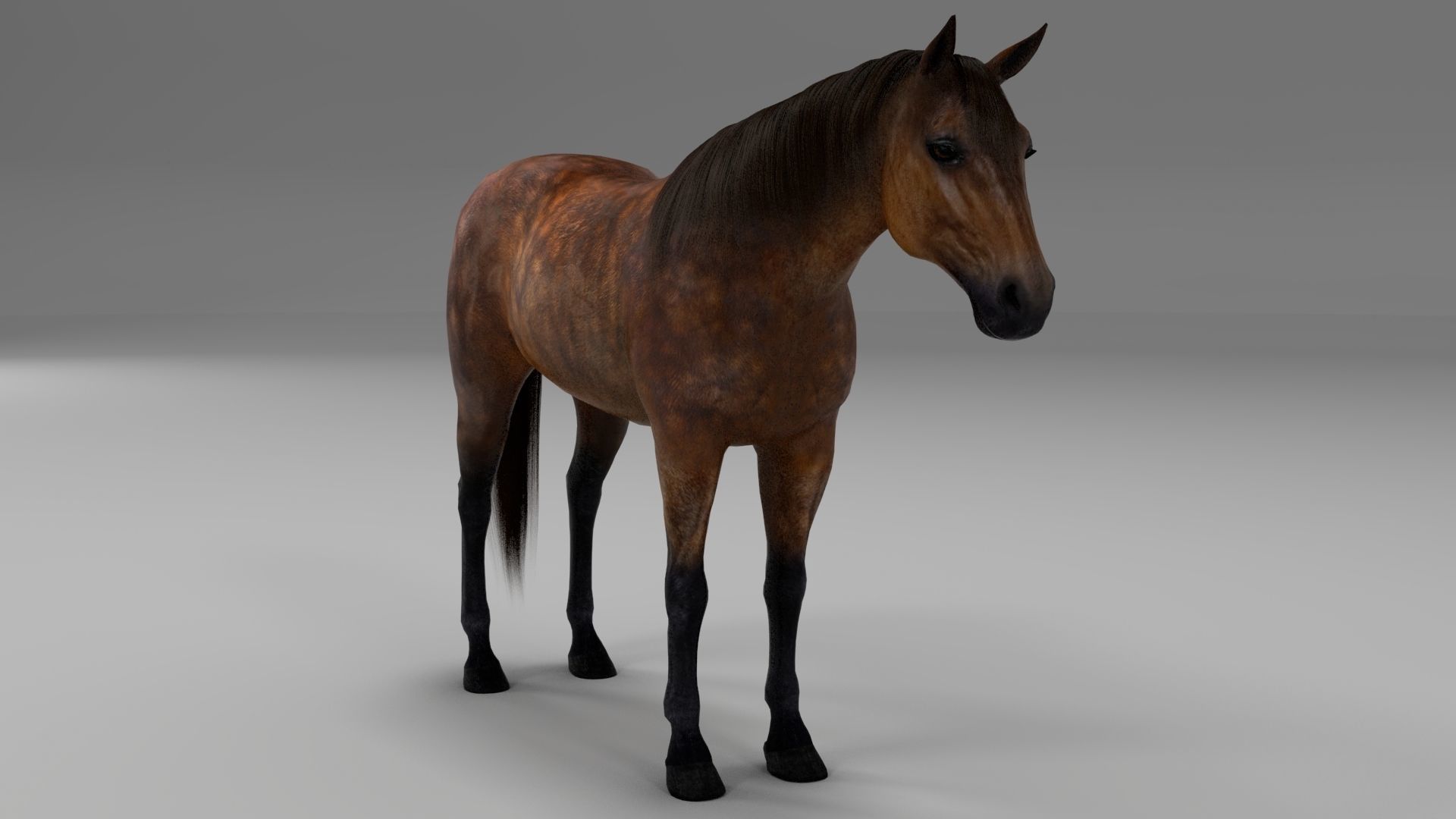 3ds max horse bundle 3D model_3