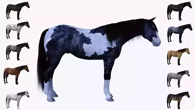 Maya horse bundle  3D model