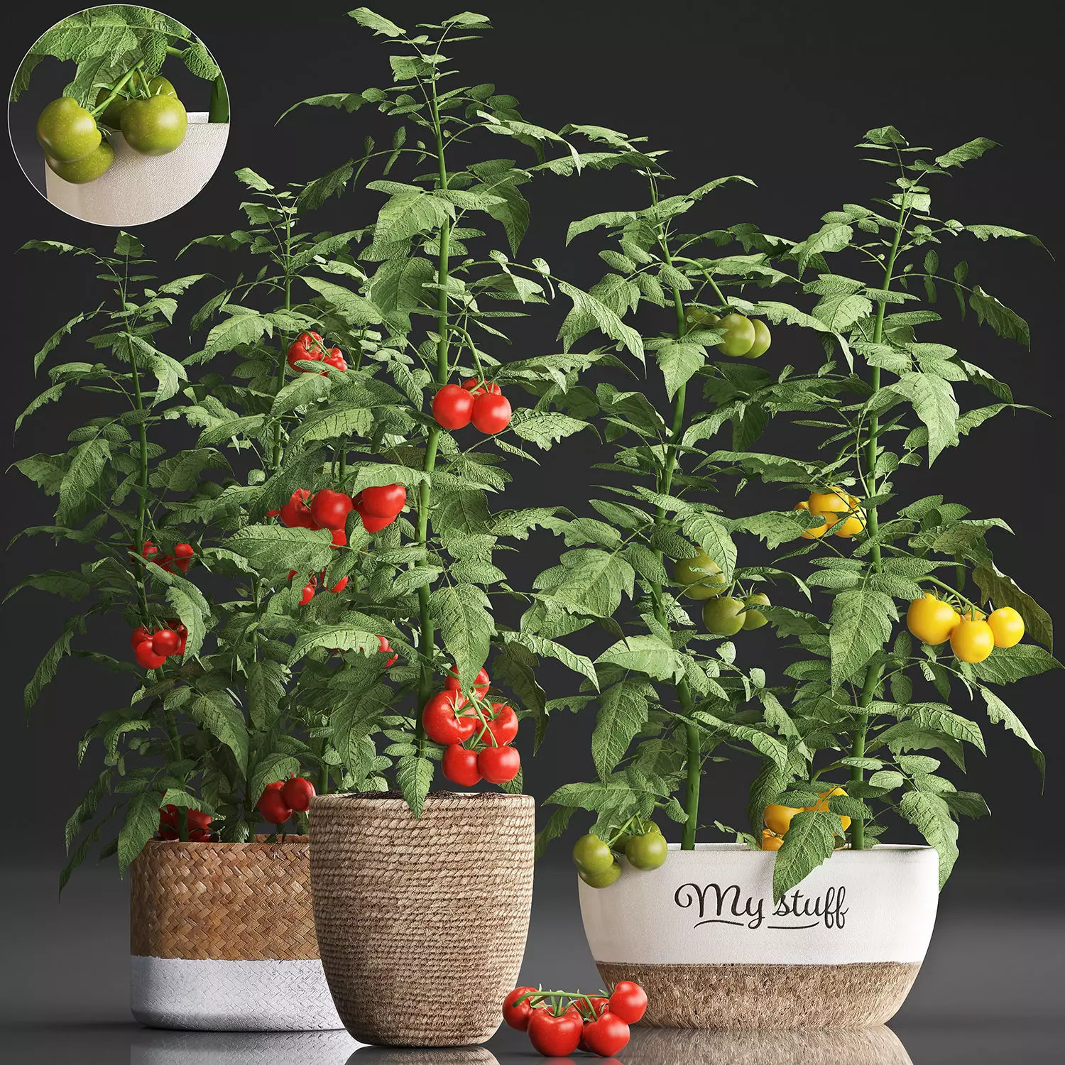 Decorative plants for the kitchen 385 tomato 3D model