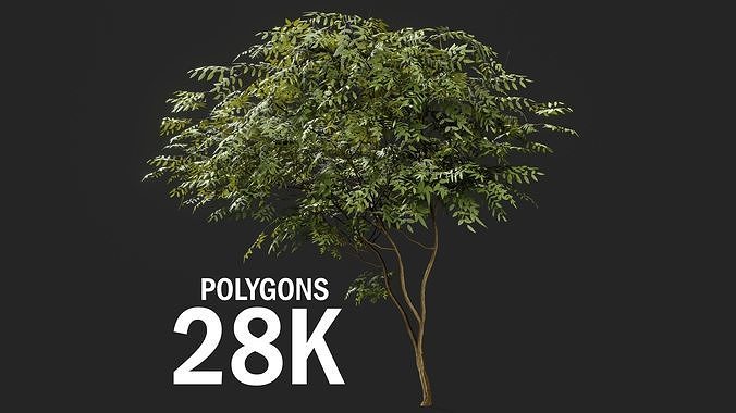 Forest tree Low-poly 3D model