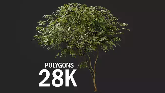 Forest tree Low-poly 3D model