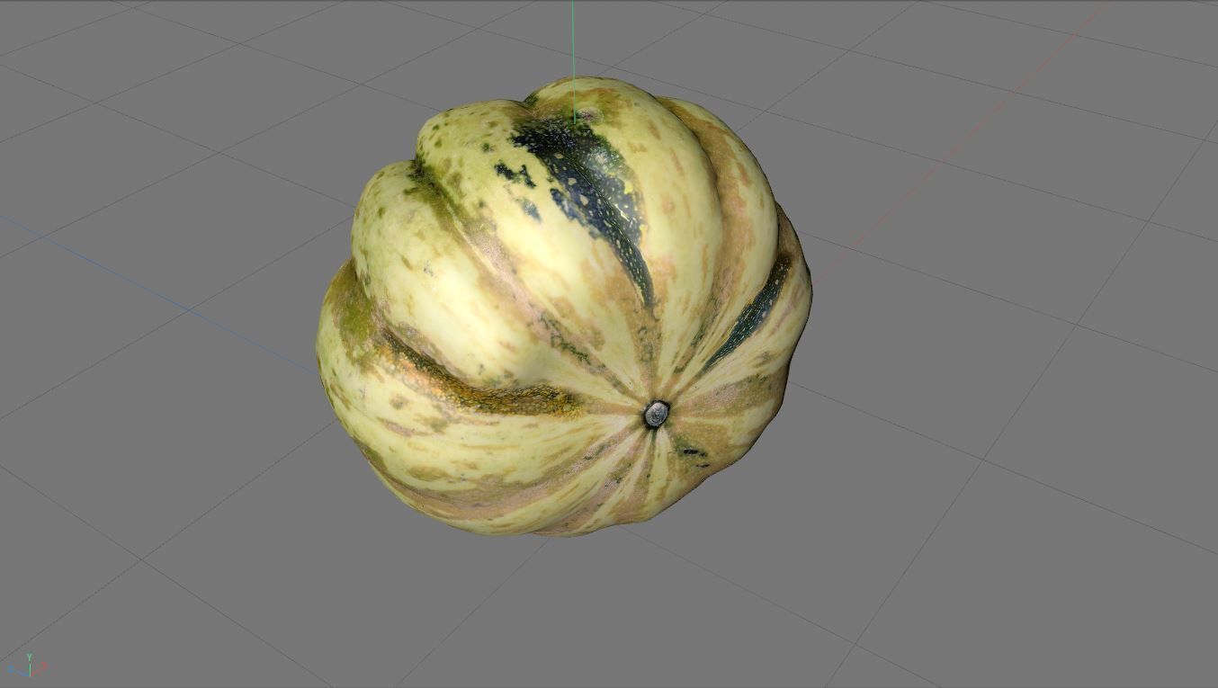 Sweet Dumpling Squash 3D model_4