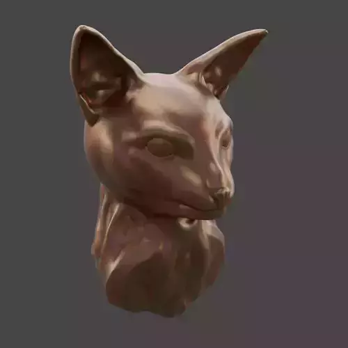 Cat Face 3D print model