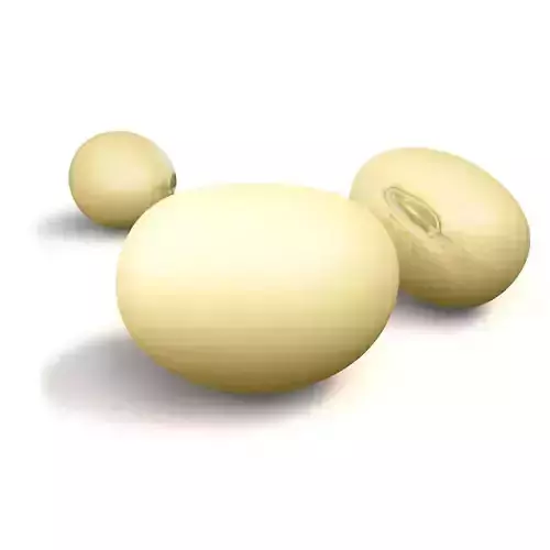 3d model soybean three yams 3D model