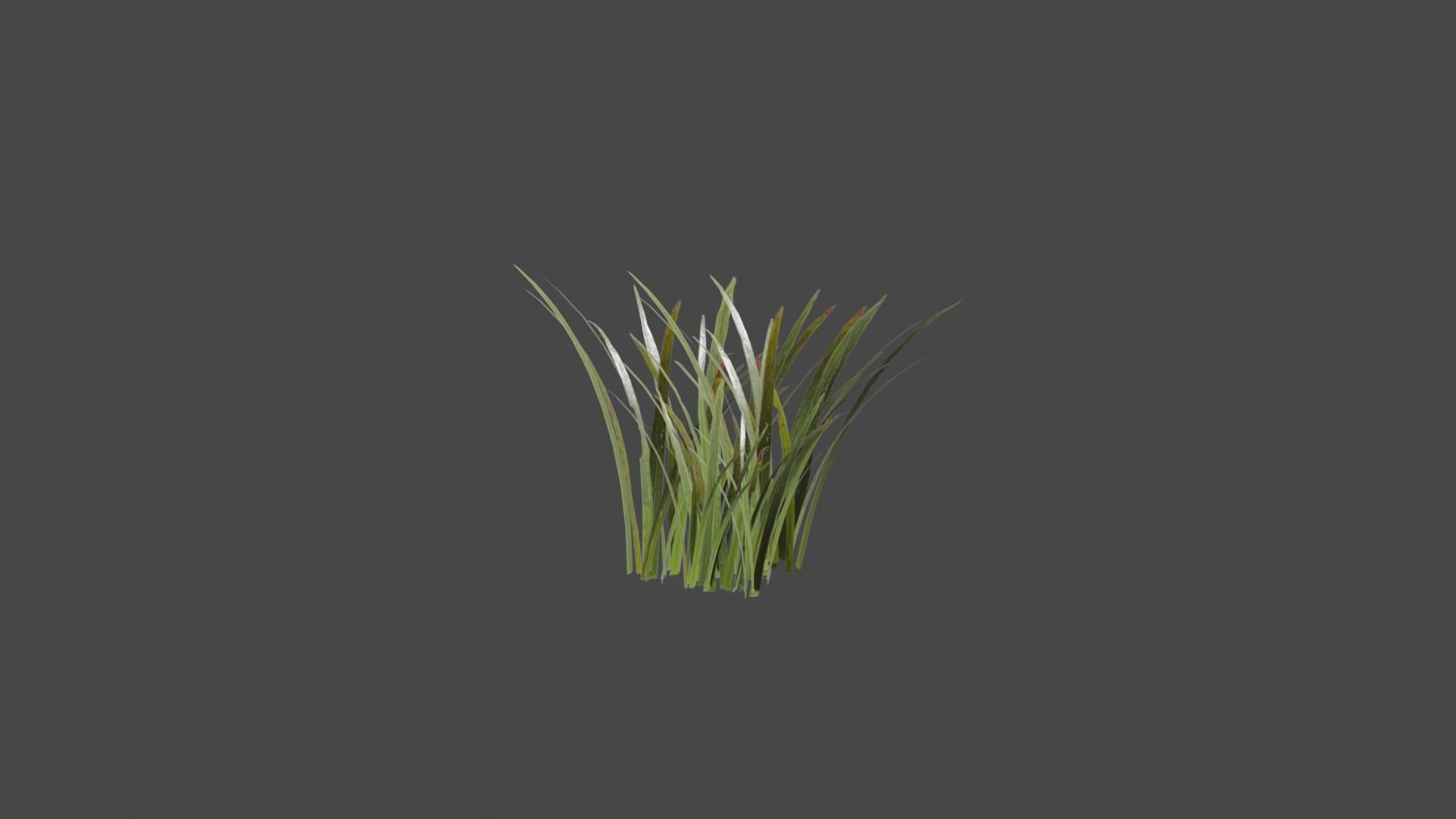 Grass Low-poly 3D model_4