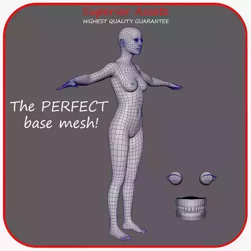Realistic Woman - Female Perfect Base Mesh - QUADS ONLY