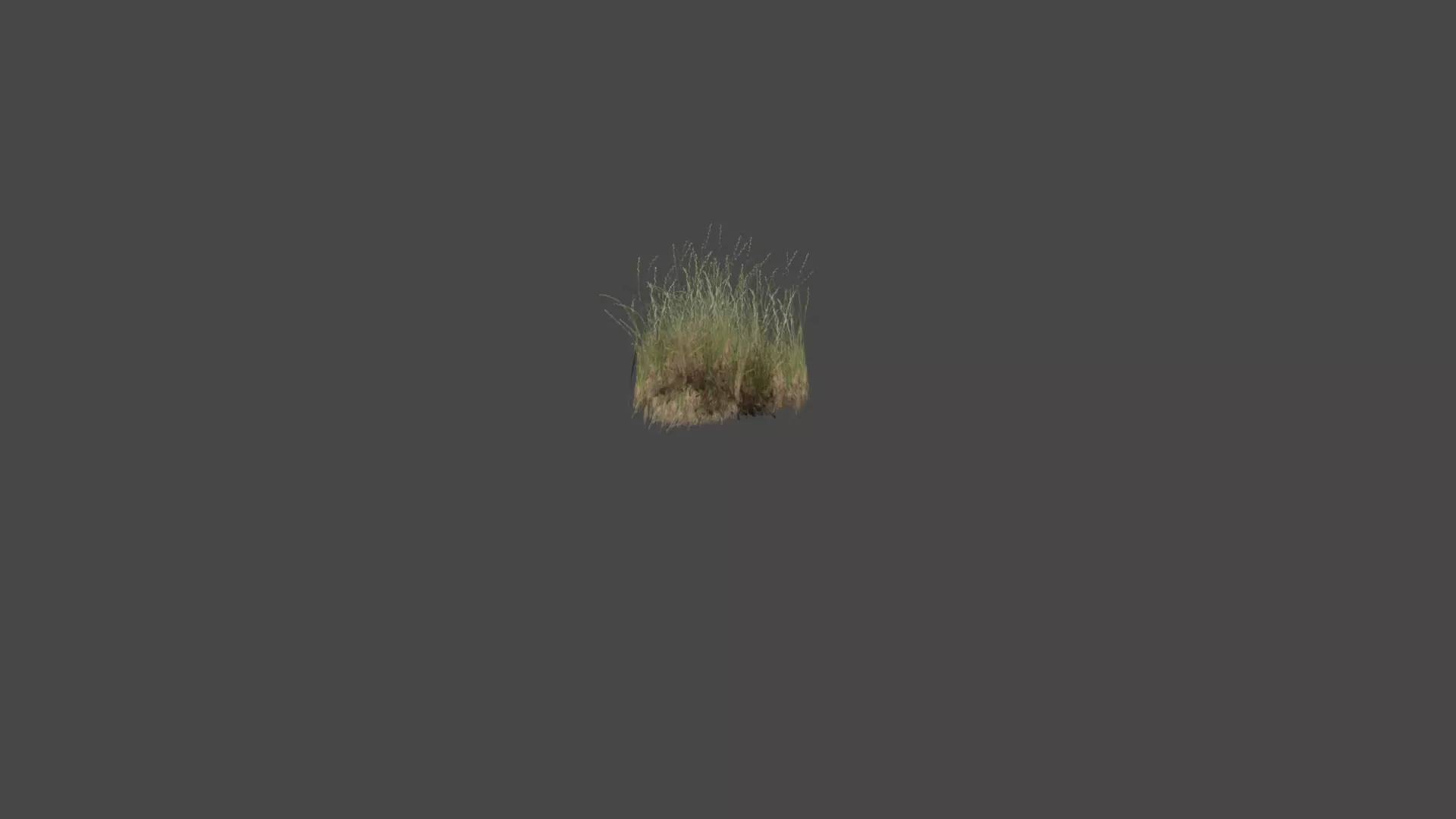 Grass Low-poly 3D model_0