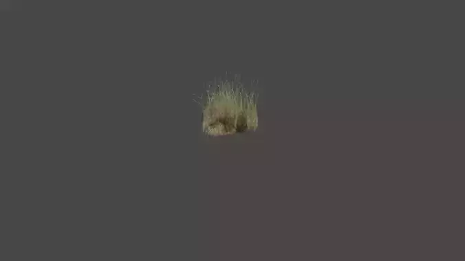Grass Low-poly 3D model