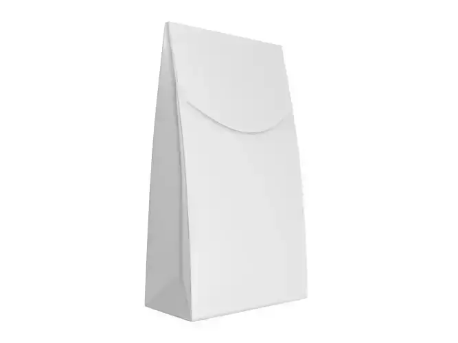Blank White Paper Bag Package Mock Up 3D model