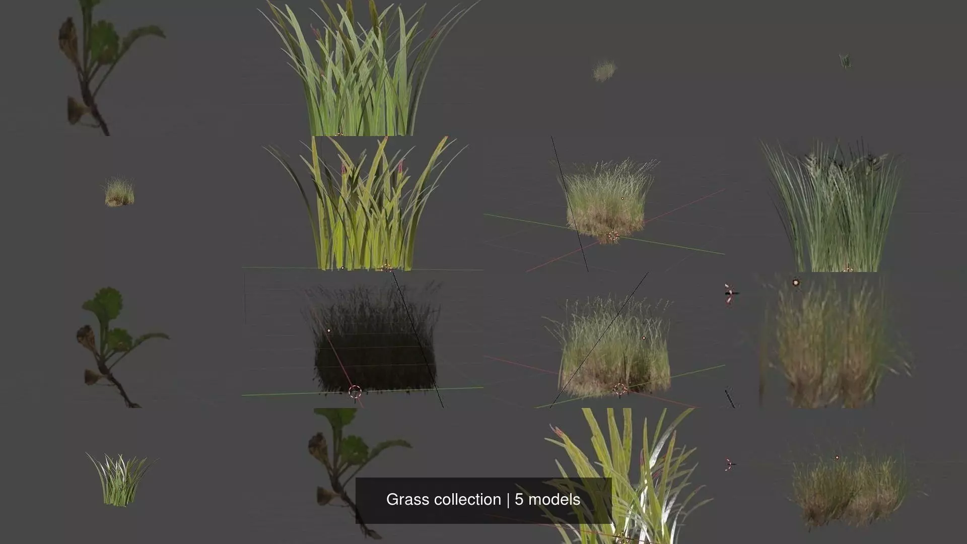 Grass collection plant _0