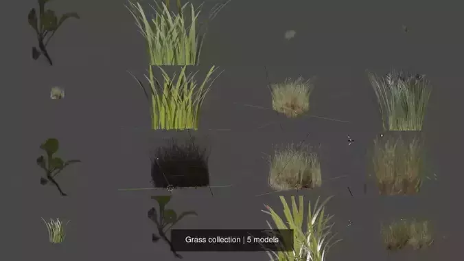 Grass collection plant 