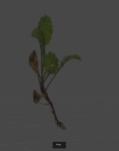 Grass collection plant _1