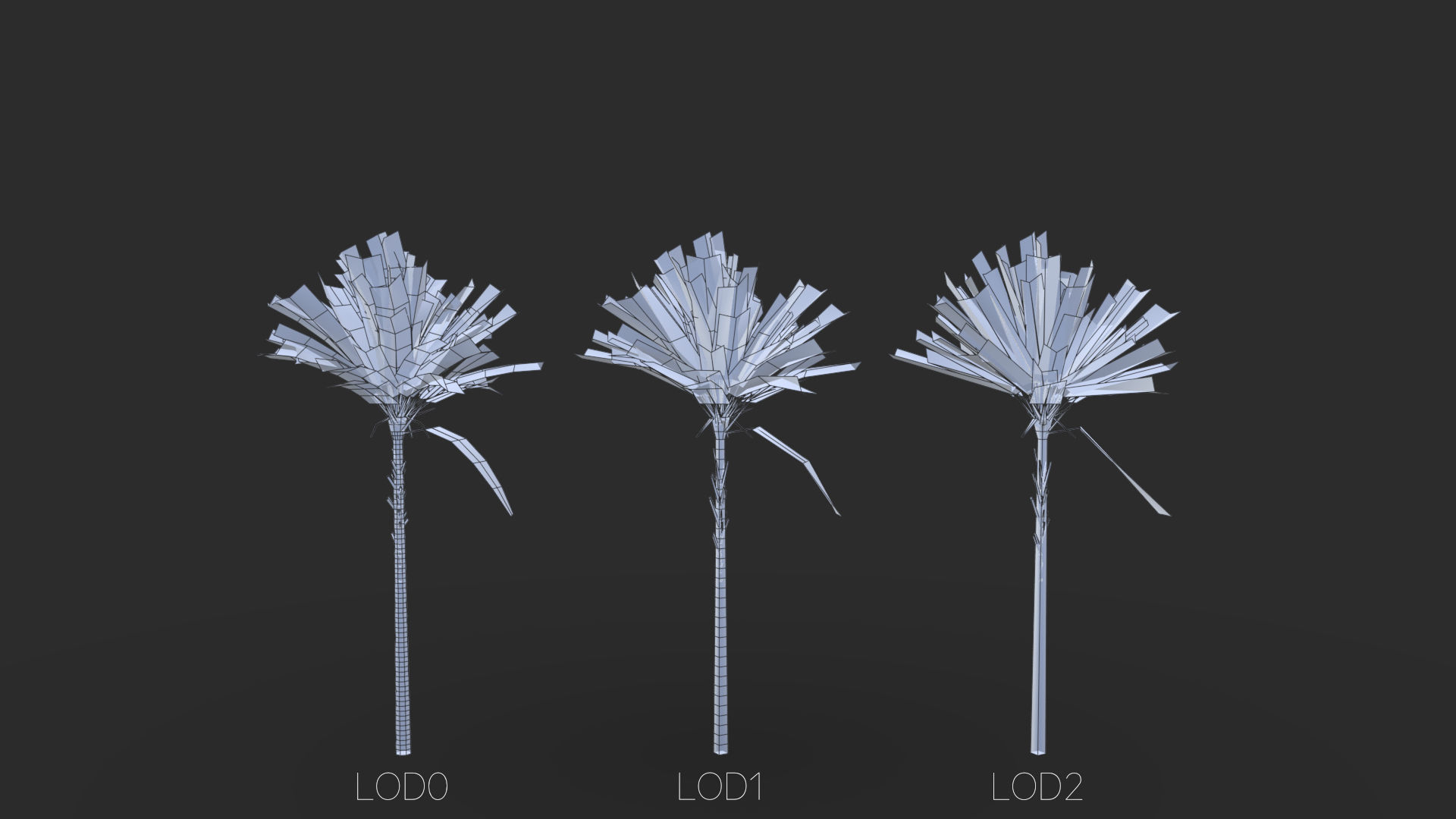 Phoenix Dactylifera Palm Tree Low-poly 3D model_21