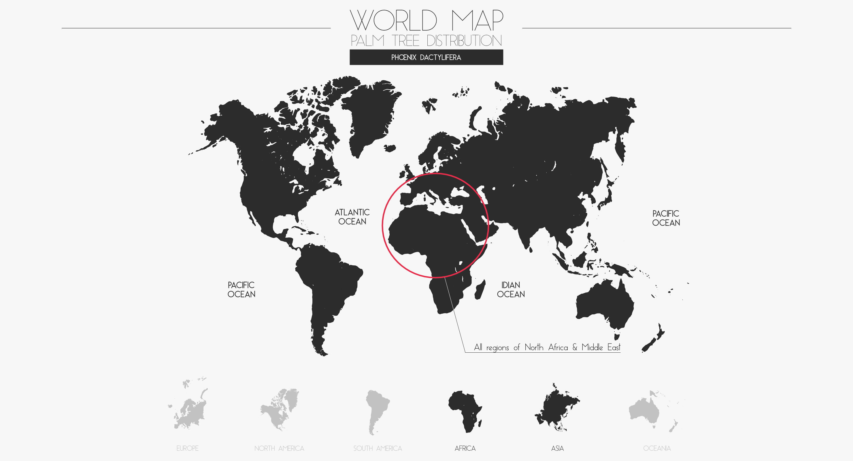 Phoenix Dactylifera Palm Tree Low-poly 3D model_25