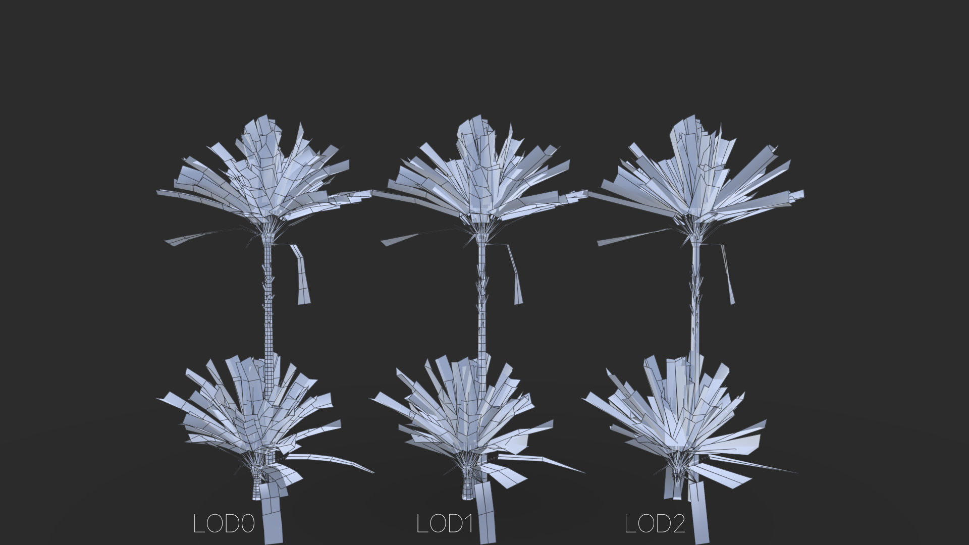 Phoenix Dactylifera Palm Tree Low-poly 3D model_22